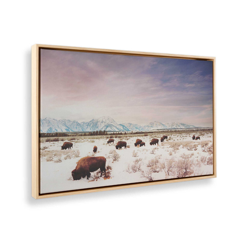 Winter Plains Bis, Érable américain, H 24,75 po x l 36,75 po, Cadre flottant