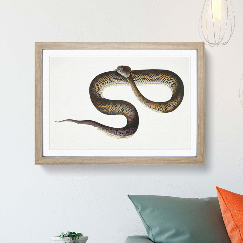 Blue Spotted Snake Illustration by John Edward Gray - Picture Frame Graphic Art Print, 27cm H x 36cm W x 2cm D, Oak Framed