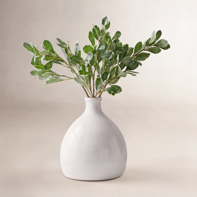Pittosporum Stems