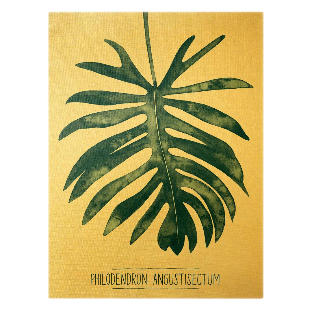 Leinwandbild Smaragdgrüner Philodendron Angustisectum