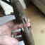 Customer photo 1 of 1