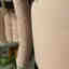 Photos des clients 3 de 4