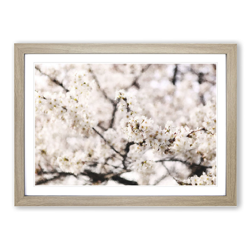 Pink Cherry Blossom Flowers Vol.7 - Picture Frame Graphic Art, 27cm H x 36cm W x 2cm D, Oak Framed