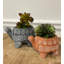 Pot à fleurs en ciment-498604526-534494169