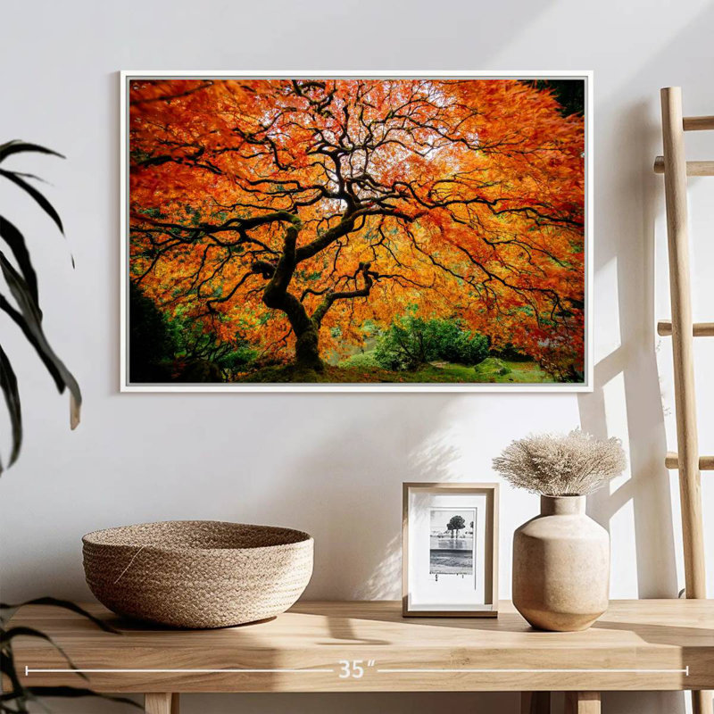 Automne érable japonais, Cadre flottant blanc, 25 po x 17 po