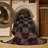 Machine Washable Checkered Brown Area Rug-379272197