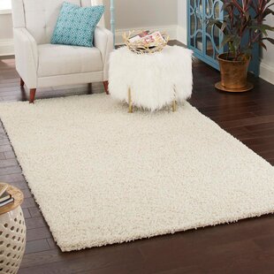 FANNYC Fluffy Fuzzy Area Rugs For Bedroom Bedside Small Shag Carpet Machine Washable  Non-Slip Rug Rectangle Floor Mat For Front Door,Entrance,Garage,  Patio,Bathroom, Livingroom,9 Styles 