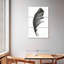 Plume noire-956775155