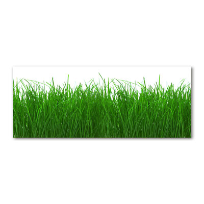 Grass - No Frame Print on Canvas