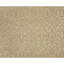 Damask Area Rug in Sand Dollar/Beige-1535843174