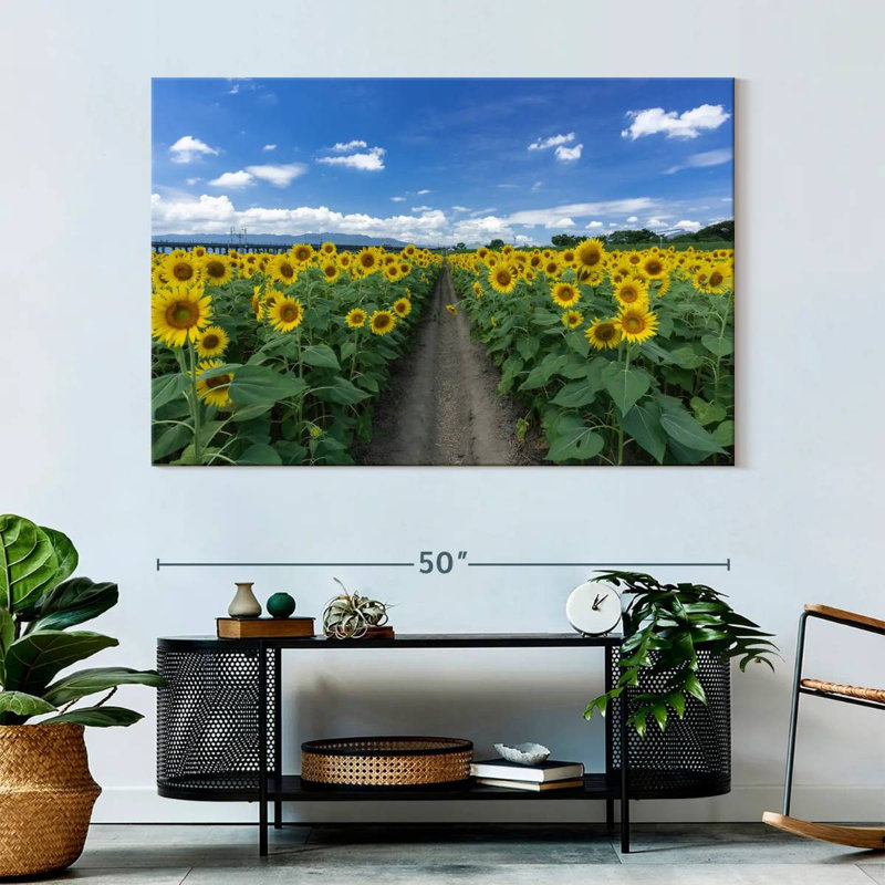 Sunflower Field Path, 34" H x 51" W