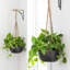 Rustic Modern Round Terracotta Planter