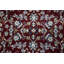 Performance Oriental Indoor Rug