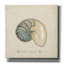  «Beach Treasures 3 Christmas» par Emily Adams, art mural sur toile, 18 po x 18 po-1546895397
