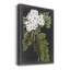 Fleurs blanches dramatiques IV - impression-967512924