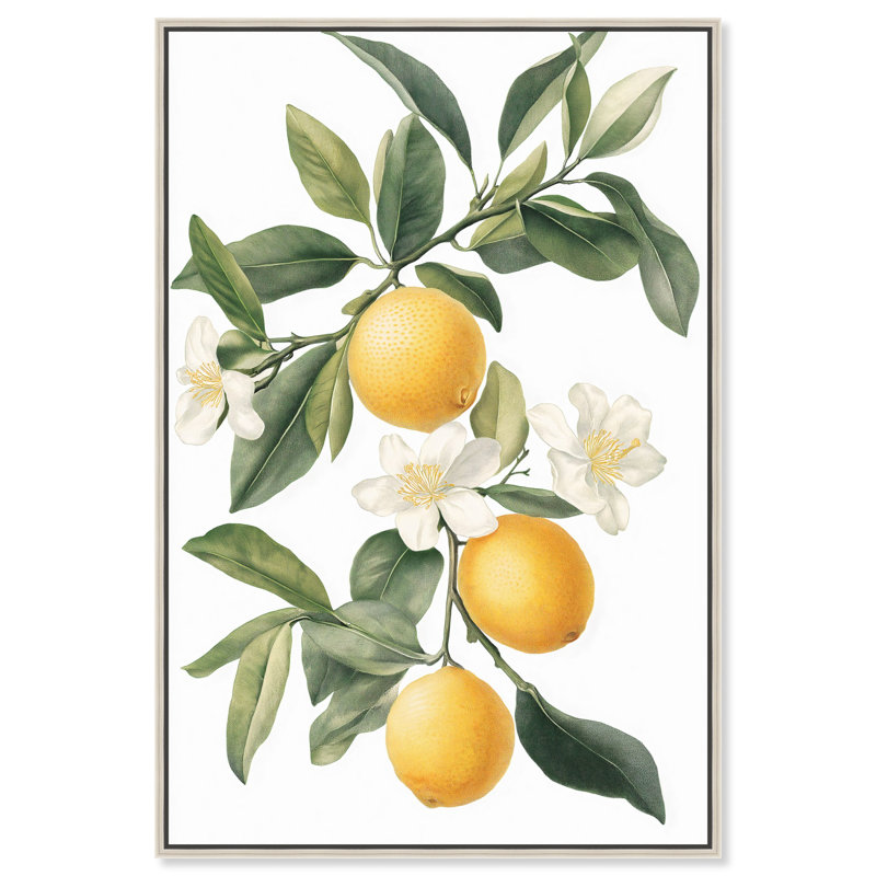 «Lemon and Leaf Fusion II», reproductions sur toile par Art Remedy, H 25 po x l 17 po, Cadre flottant argent