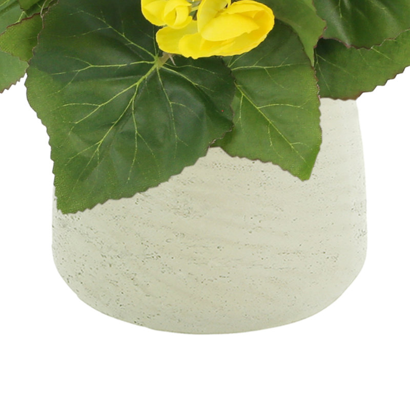 Arrangement floral bégonia, Jaune, Beige