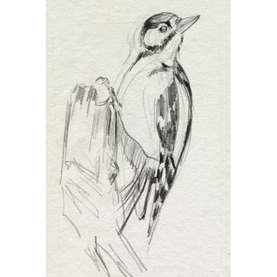 Croquis du pic-bois II