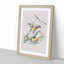 Prothonotary Warbler Birds by John Audubon - Picture Frame Painting Print-55602070-55602075