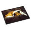 Tapis de porte d’extérieur antidérapant collie-102906809