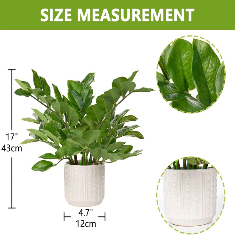 17 Inch Ceramic Pots Loaded Indoor Artificial ZZ Plants, designed for home table decor and bedroom aesthetics, packaged in a single piece to add greenery to your home.