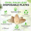 Ensemble de fête assiette Dtocs Palm Leaf Ensemble d'assiettes décoratives 10 po x 6 po et ensemble d'assiettes 5 po x 7 po (paquet de 50)