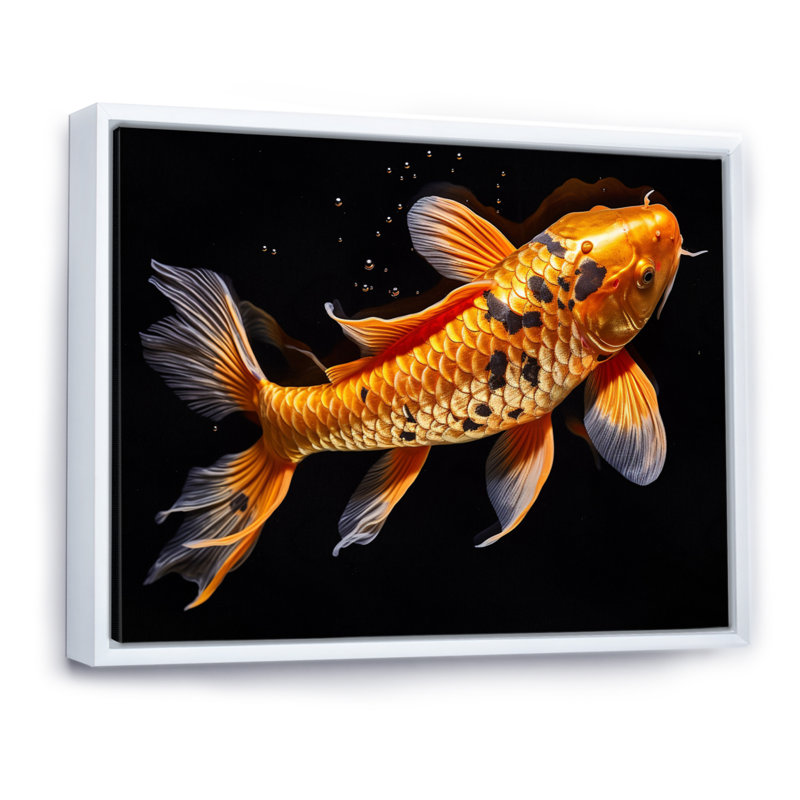 «Yellow Kois Fish Golden Majesty I», reproduction sur toile, Cadre flottant blanc, H 16 po x l 32 po x P 1 po