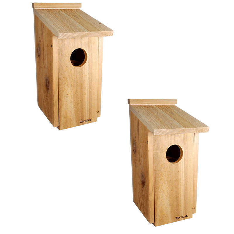 19.75 in. H x 8.75 in. W x 13 in. D Wall Birdhouse