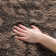 Ellyona Shag Performance Floral Rug