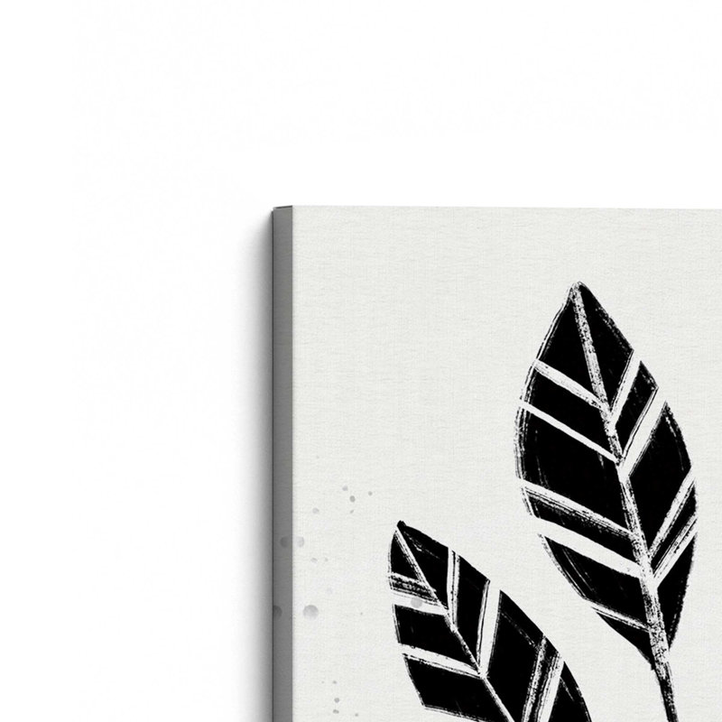 Toile tendue Botanicals III noir et blanc, H 18 po x l 12 po