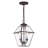Amiree Outdoor Hanging Lantern-134775975-134775976