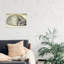 Sleeping Cat by Vintage Apple Collection - Wrapped Canvas Painting-124202193