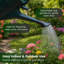 Watering Can-516808506-516808504