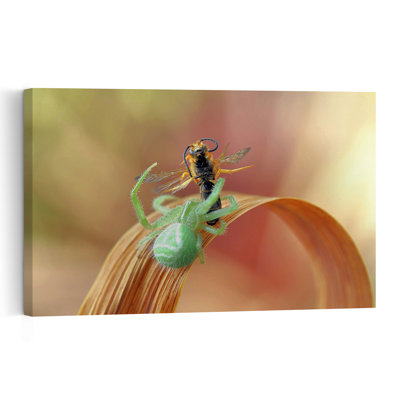 Araignée verte chassant une abeille - Illustration abstraite et vibrante d'une abeille-crabe et d'une araignée-crabe - Nature et faune - Affiche murale