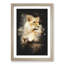 Lioness - Framed Print-62802757-62802762