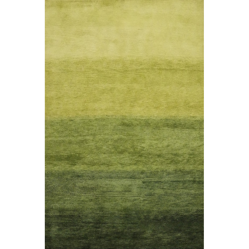 Tapis vert polyvalent de style Gabbeh 6 x 8 parfait pour les espaces de vie