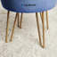 Velvet Storage Upholstered Accent Stool-480798945
