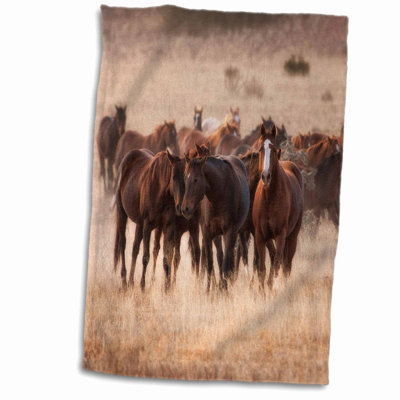 Wild Mustang Oasis Hand Towel - 15x22
