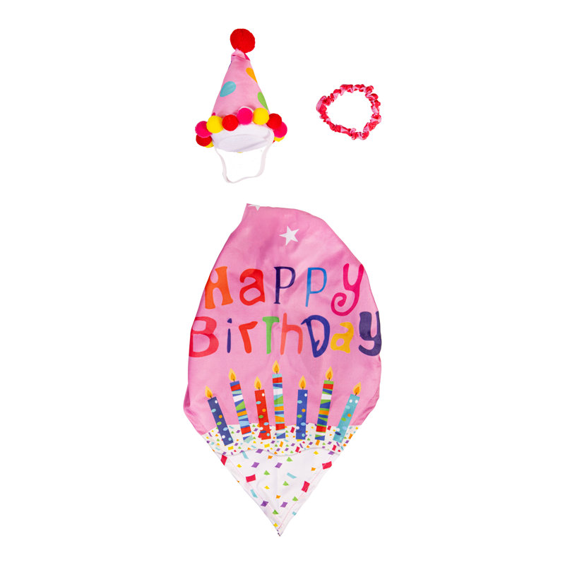 Tente de porche, fille d'anniversaire, Birthday Girl