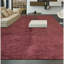 Area Rug in Rust