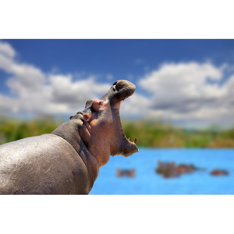 Hippo On Lake by Byrdyak - Wrapped Canvas Print, 30cm H x 46cm W