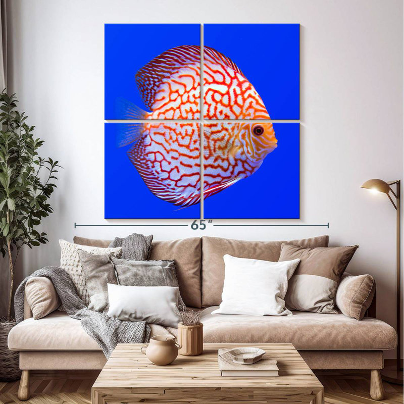 Brampt Exotic Discus Fish, 50" H x 50" W