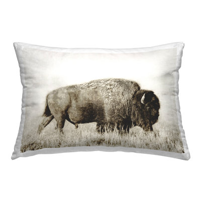 Coussin Bison