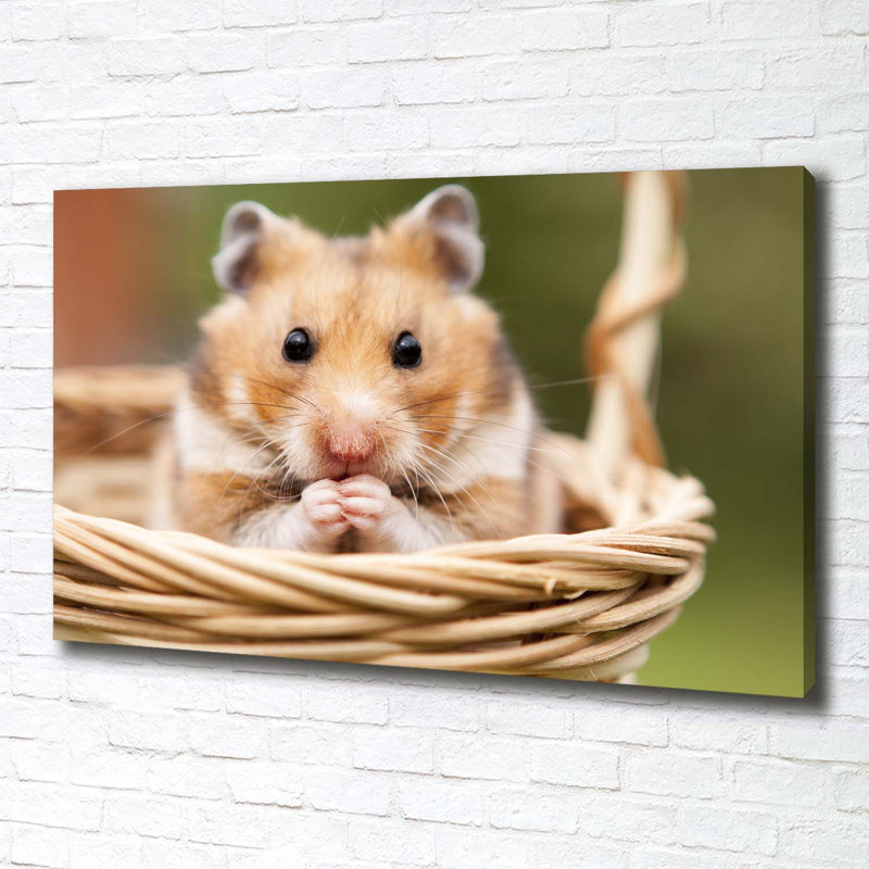 Hamster In The Basket - Wrapped Canvas Print