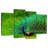 Brampt Blue Peacock Brilliant Plumage