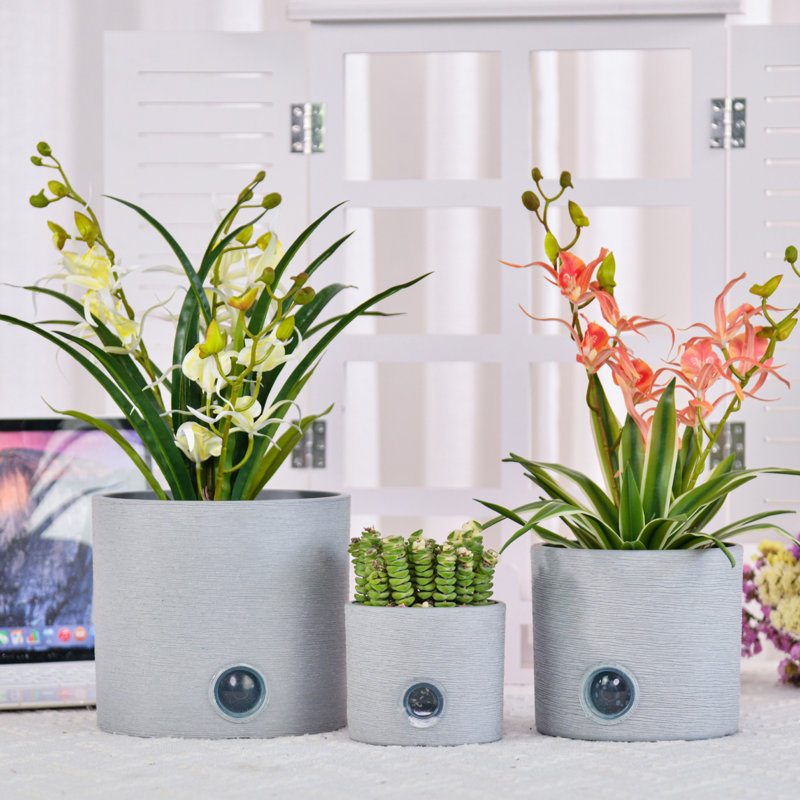 Ensemble de 3 pots auto-arrosants pour plantes d'intérieur, 5 po 6 po 8 po