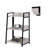 Ahlexis Ladder Bookcase with Open Compartments-1835333048-1822649929