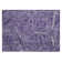 Paisley Indoor / Outdoor Rug