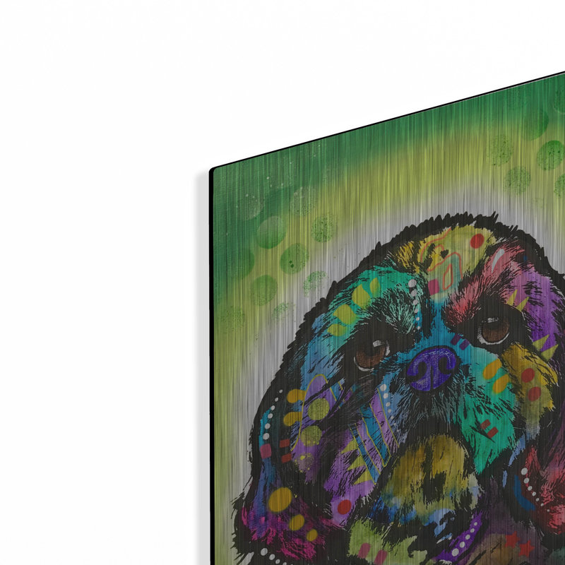 «Kinda Shih Tzu» par Dean Russo, H 16 po x l 12 po