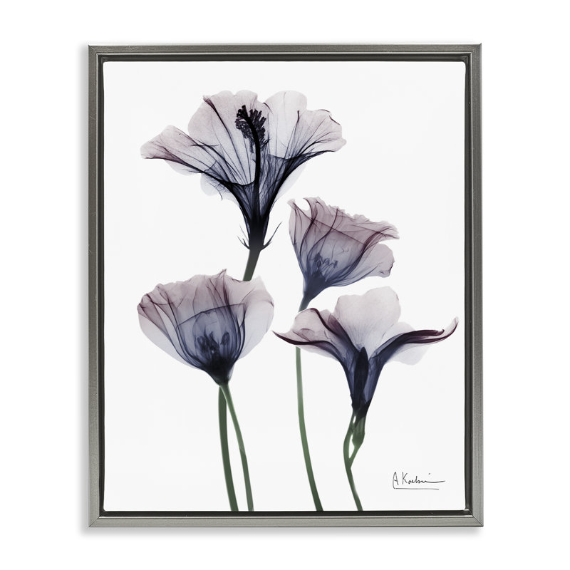 Cadre flottant à fleurs crépusantes, par Albert Koetsier, Cadre flottant gris lustré, H 21 po x l 17 po